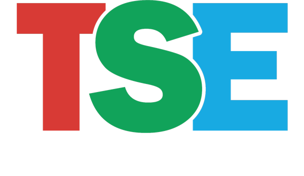 TSE — High Performance Coatings Consultants